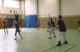 Aachener Quadroball 2011, Volleyball